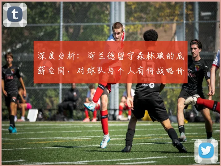 深度分析：海兰德留守森林狼的底薪合同，对球队与个人有何战略价值？